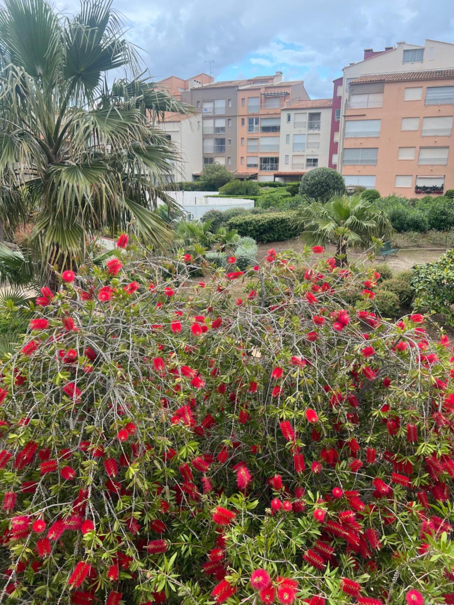 Residence Le Pharo Agde Exterior photo